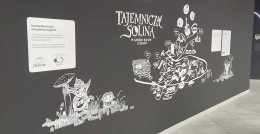 Kopia IMG_20230725_082950